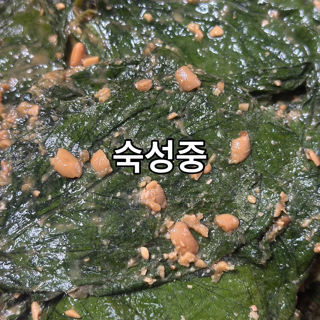 오르조 워터 1