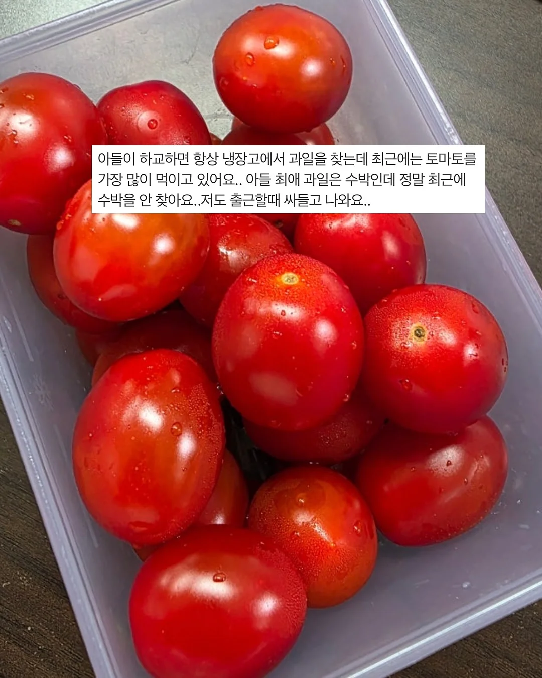 아디다스 삼바 OG 뮬 2