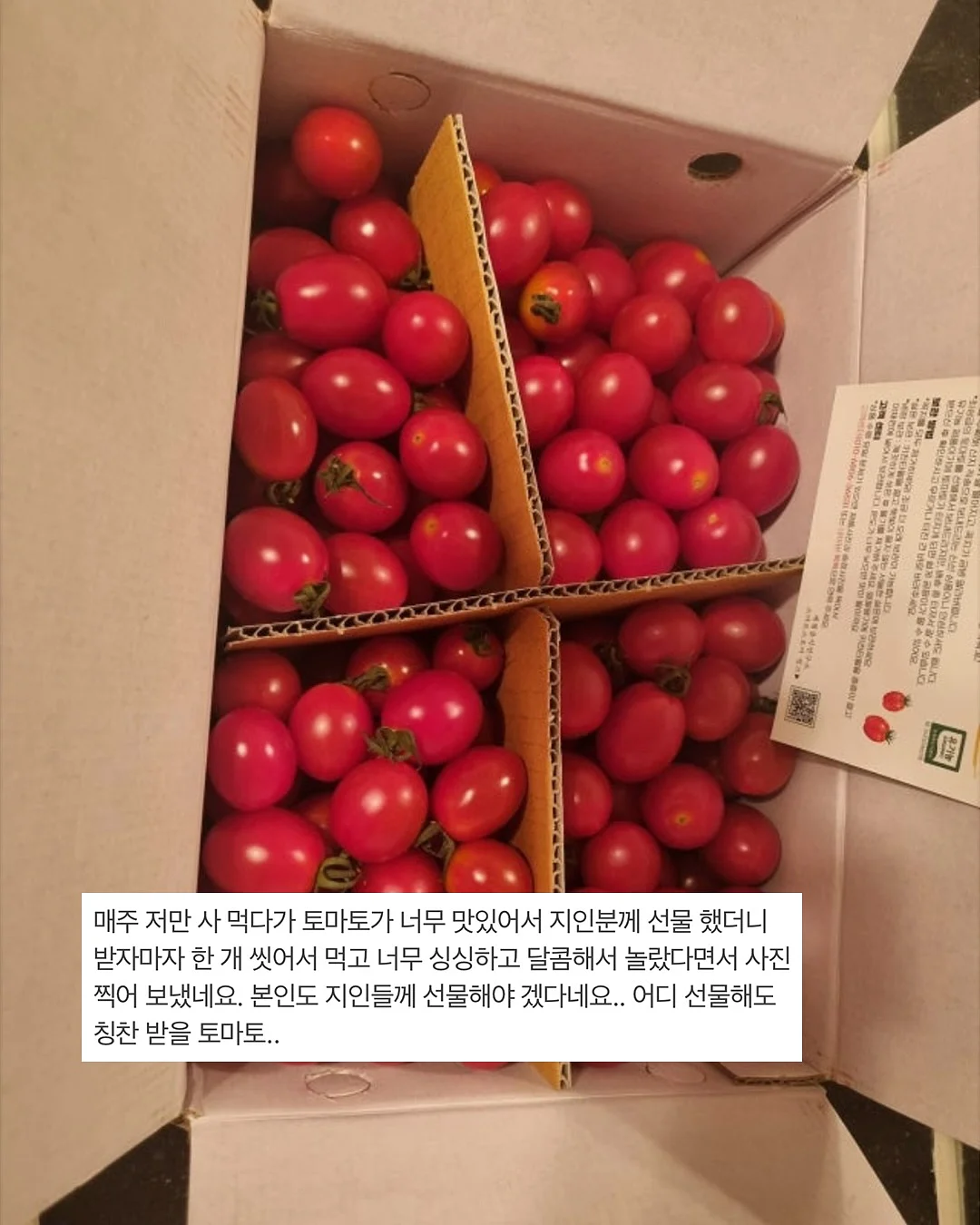 아디다스 삼바 OG 뮬 3