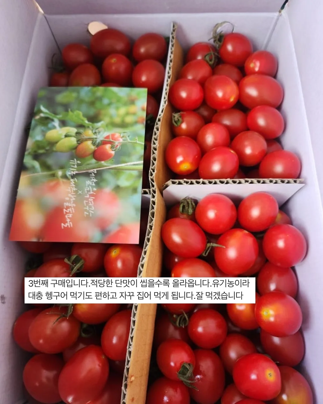 아디다스 삼바 OG 뮬 5
