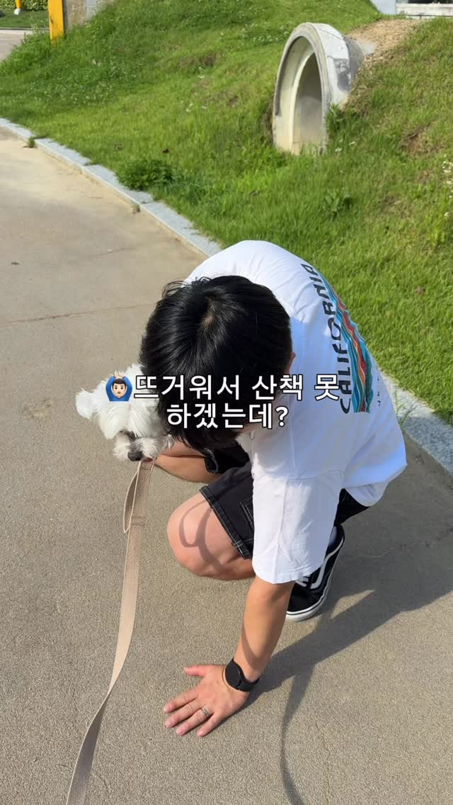 바디괄사