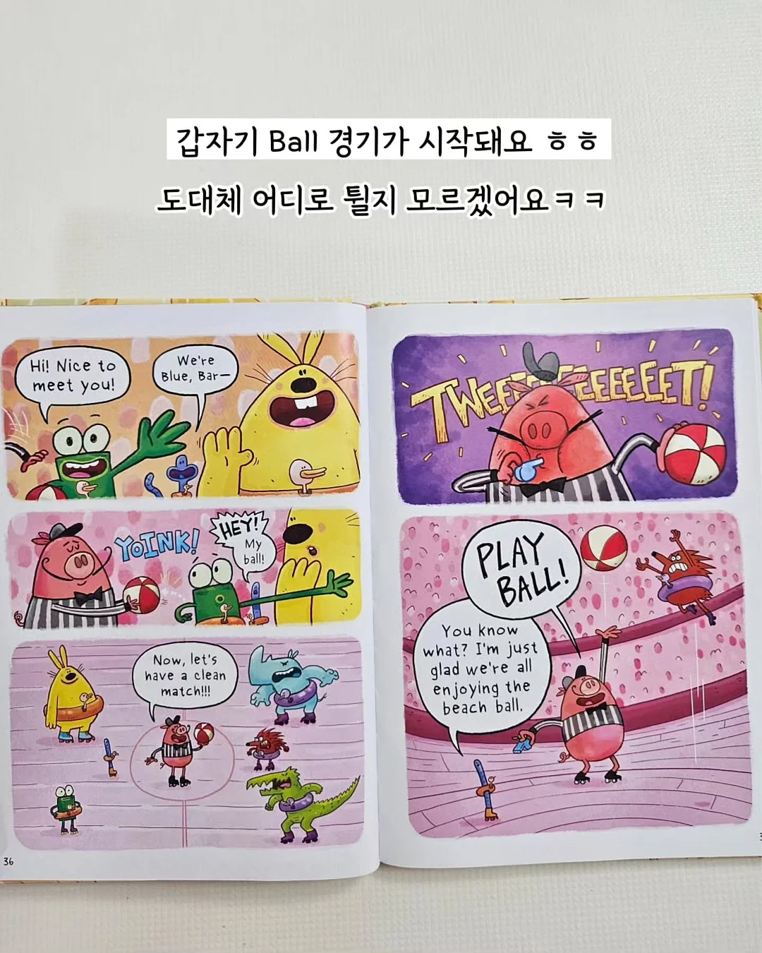 계란 케이스 5
