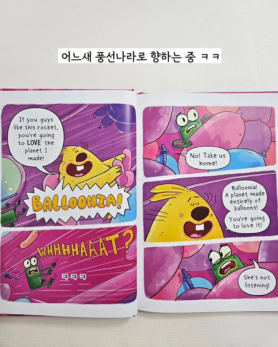 계란 케이스 7
