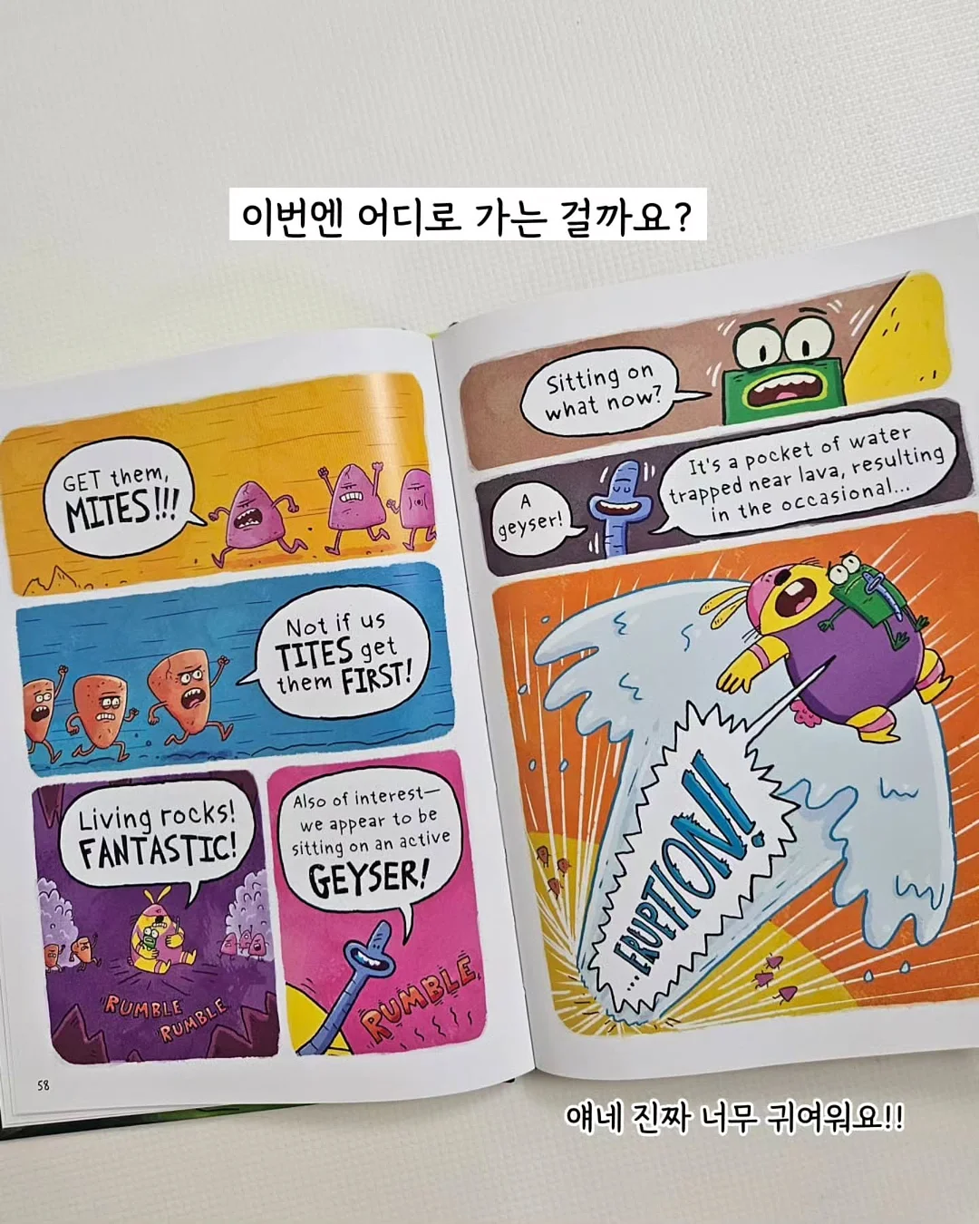 계란 케이스 8