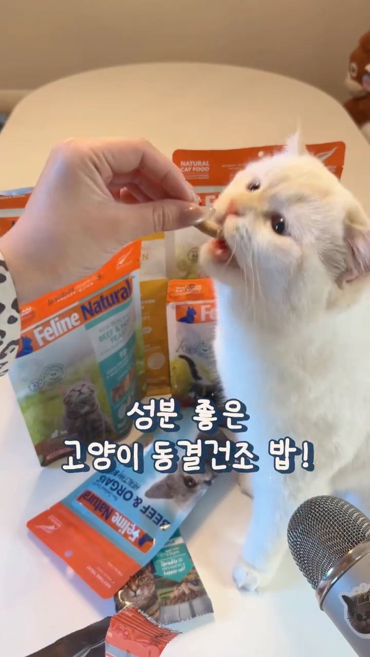 블라우스