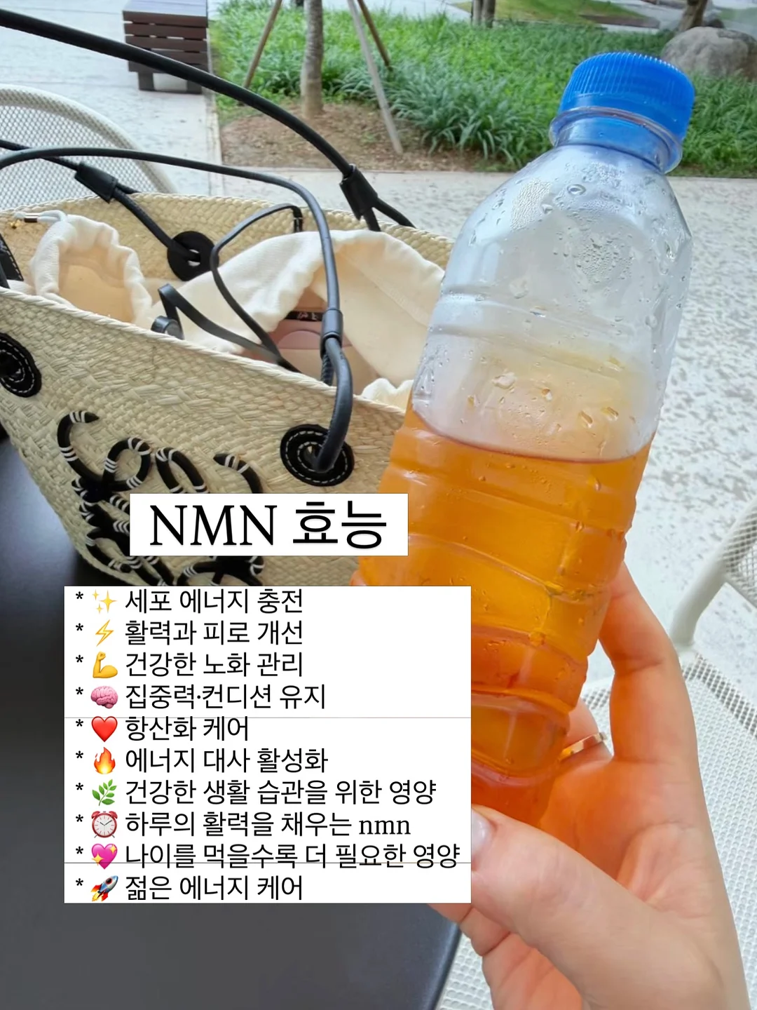 노지선 옷장 4