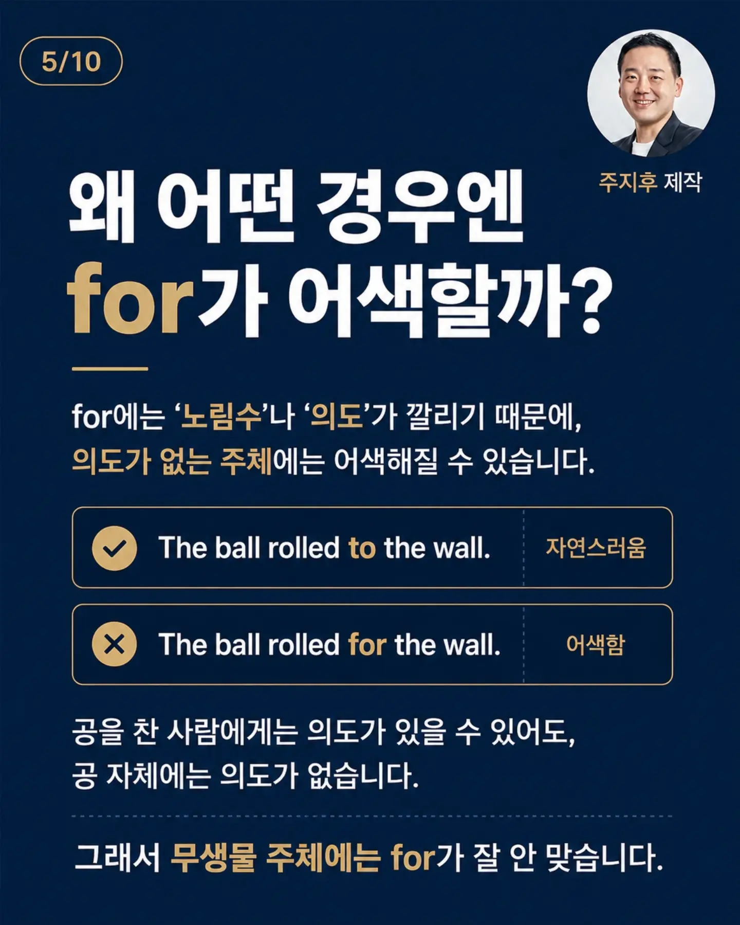 바닐라빈 오발플레이트 L 세트 5