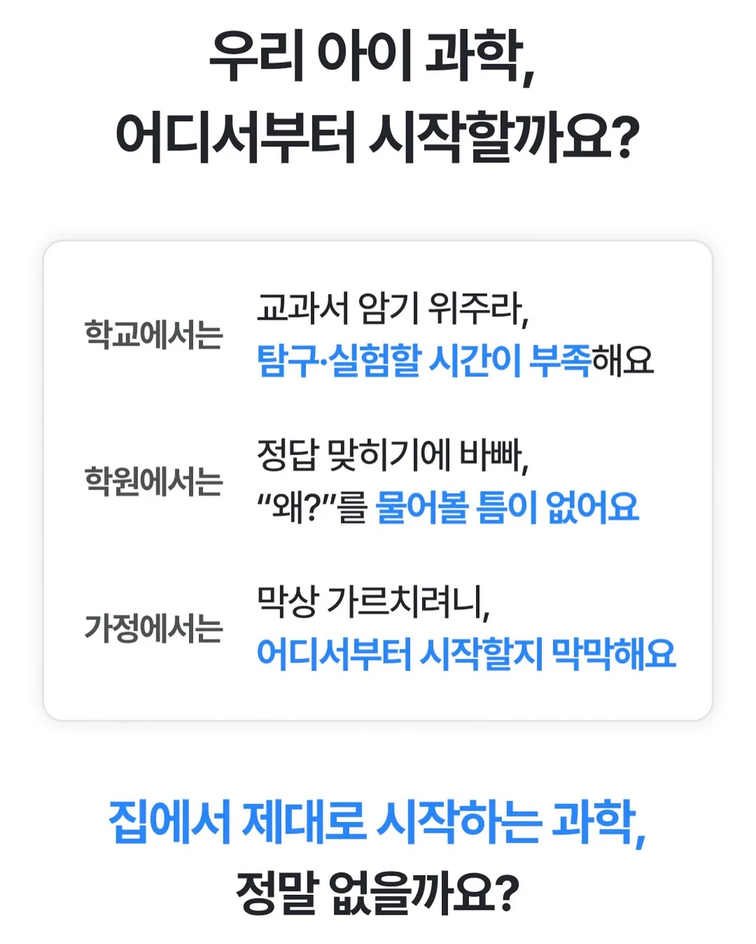 물고기 반지 5