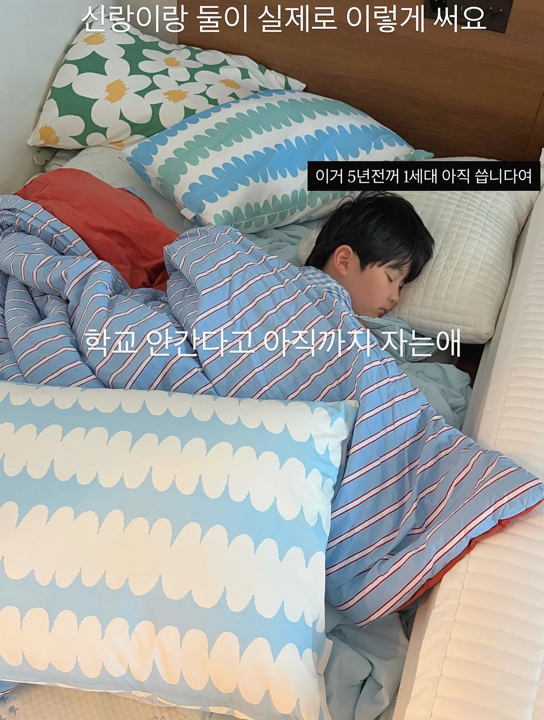 무설탕 과일 스틱 6