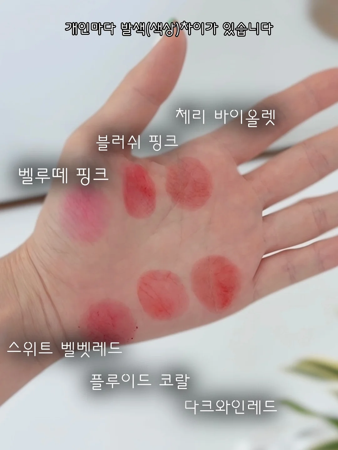 깐녹두 500g 6