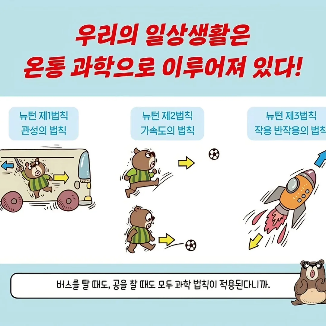 뉴메이슨 빗고데기 3