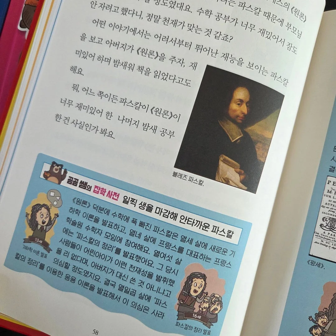 뉴메이슨 빗고데기 6