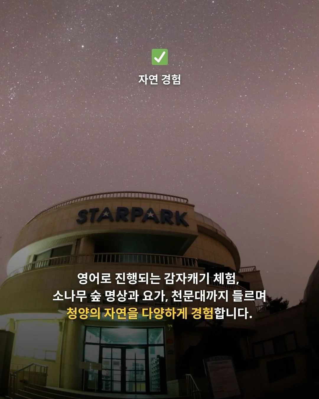 리본 키티 로프키링 11