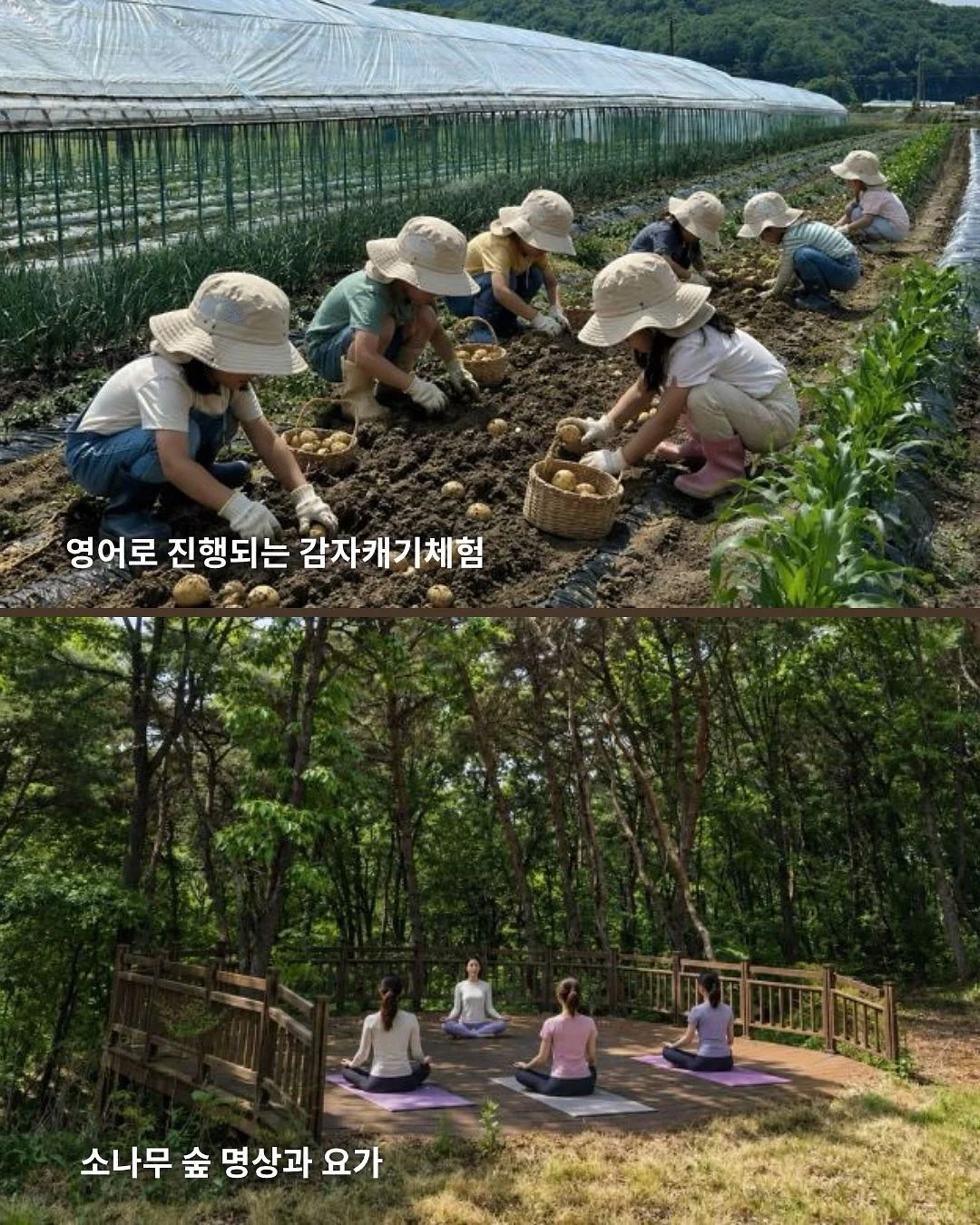 리본 키티 로프키링 12