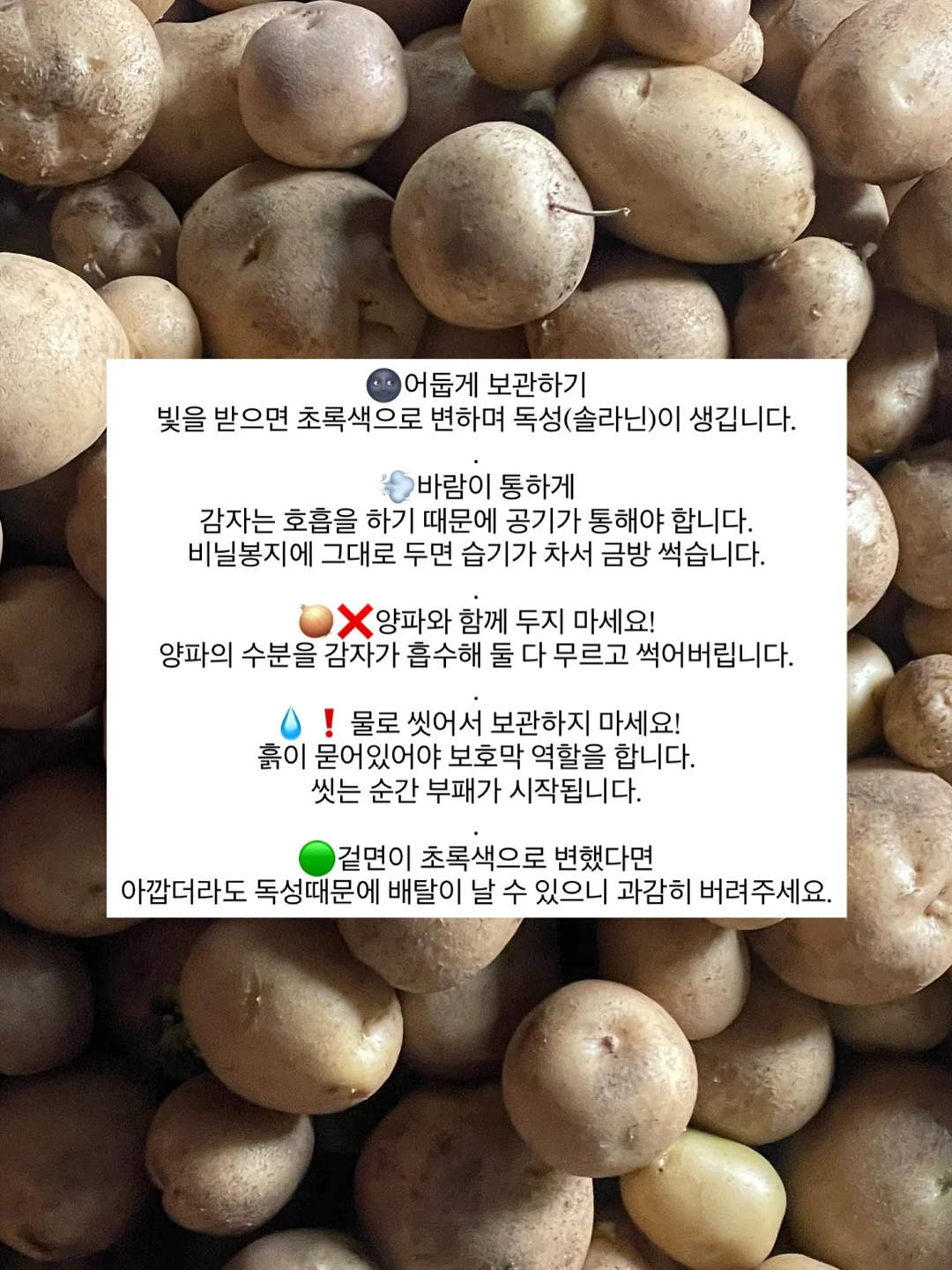 화이트 셔츠 8