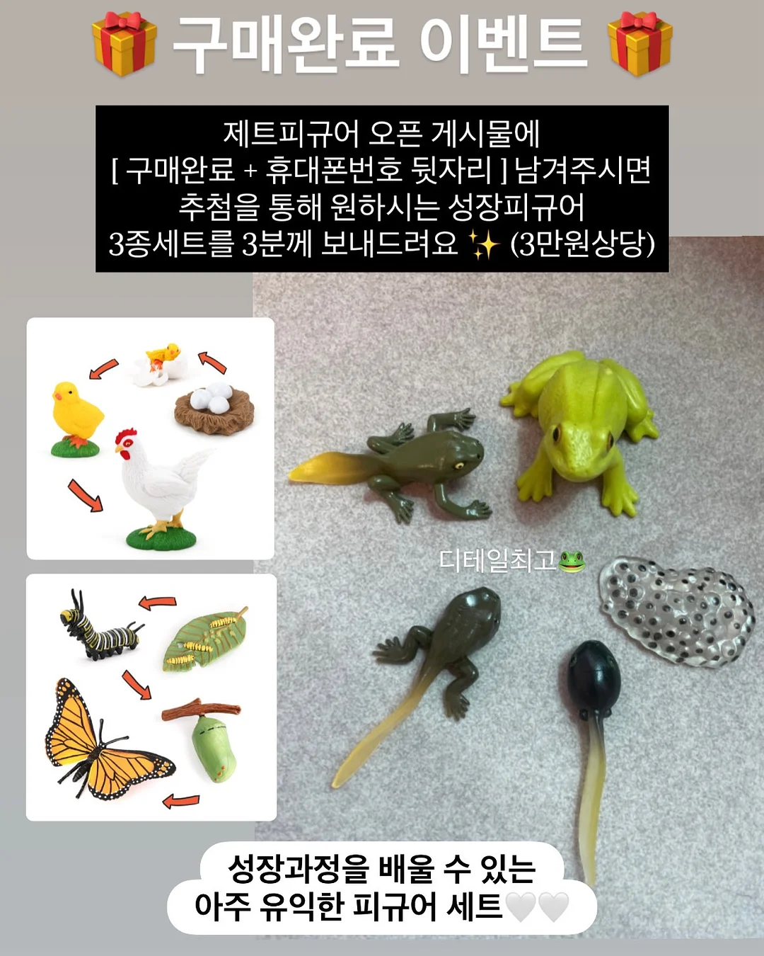 푸꾸옥 여행 패키지 9