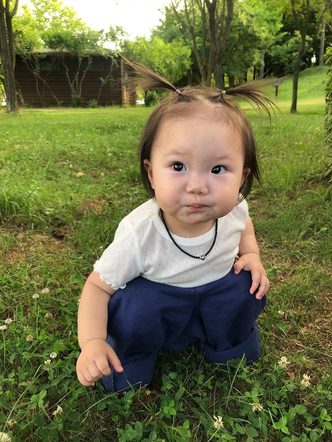 맘트밀 천연 분말육수 1