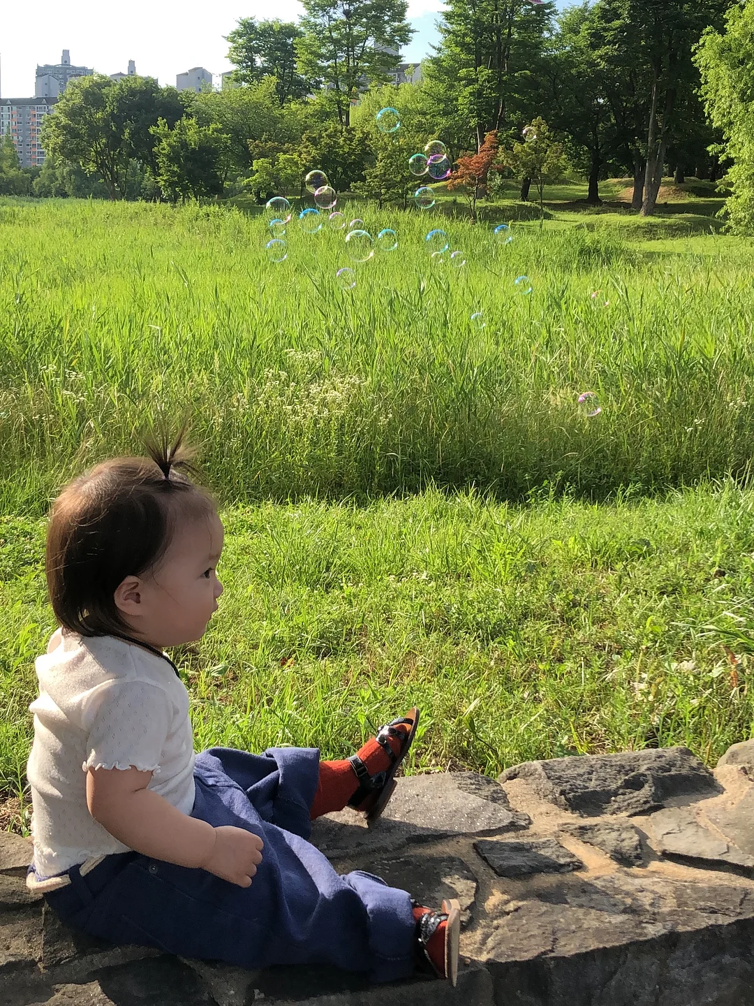 맘트밀 천연 분말육수 13