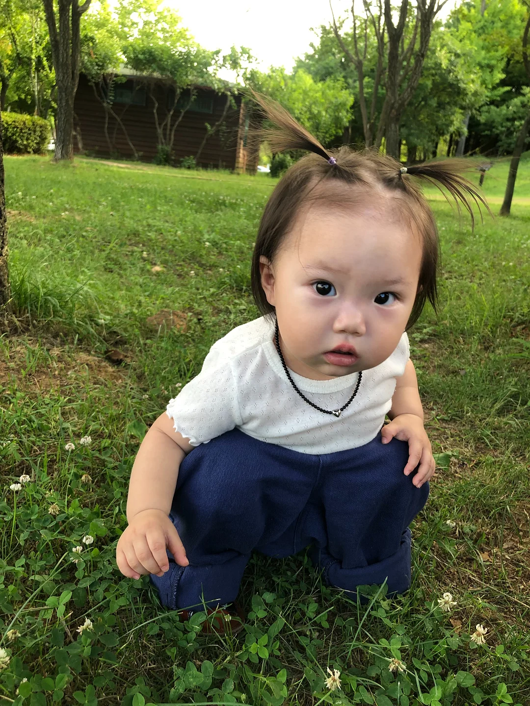 맘트밀 천연 분말육수 2