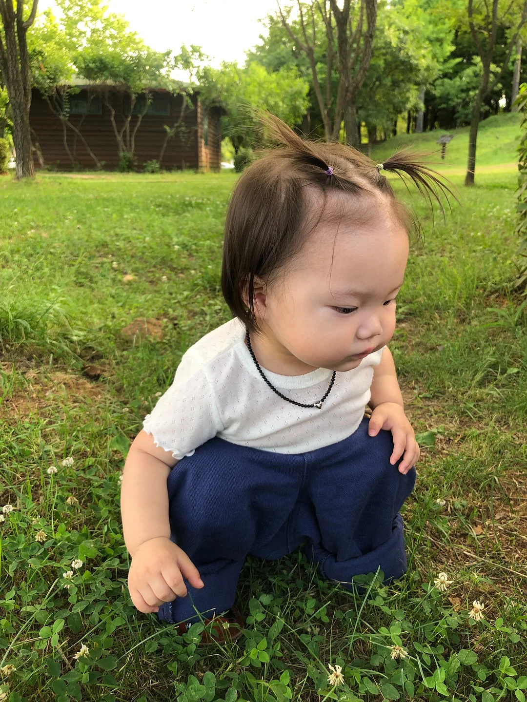 맘트밀 천연 분말육수 4