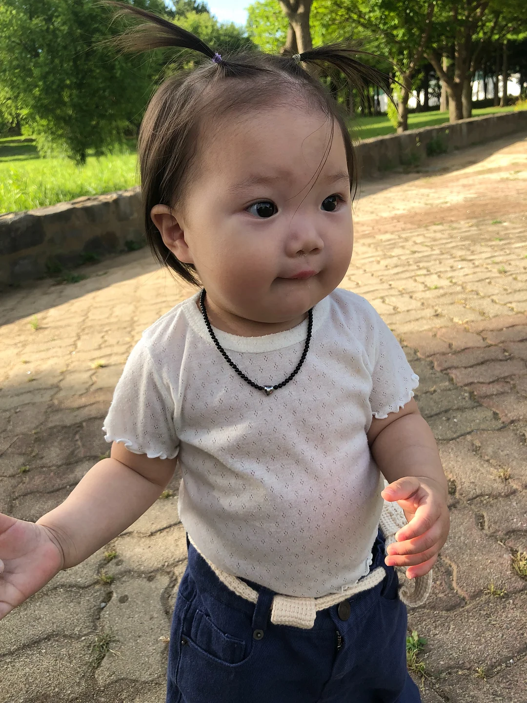 맘트밀 천연 분말육수 5
