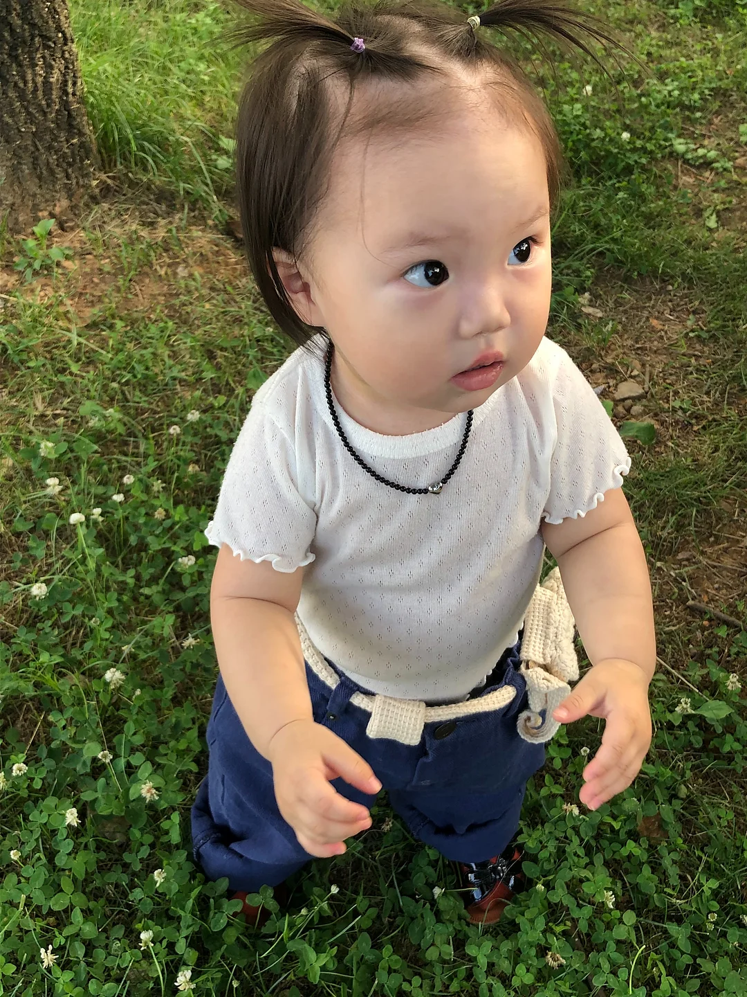맘트밀 천연 분말육수 8
