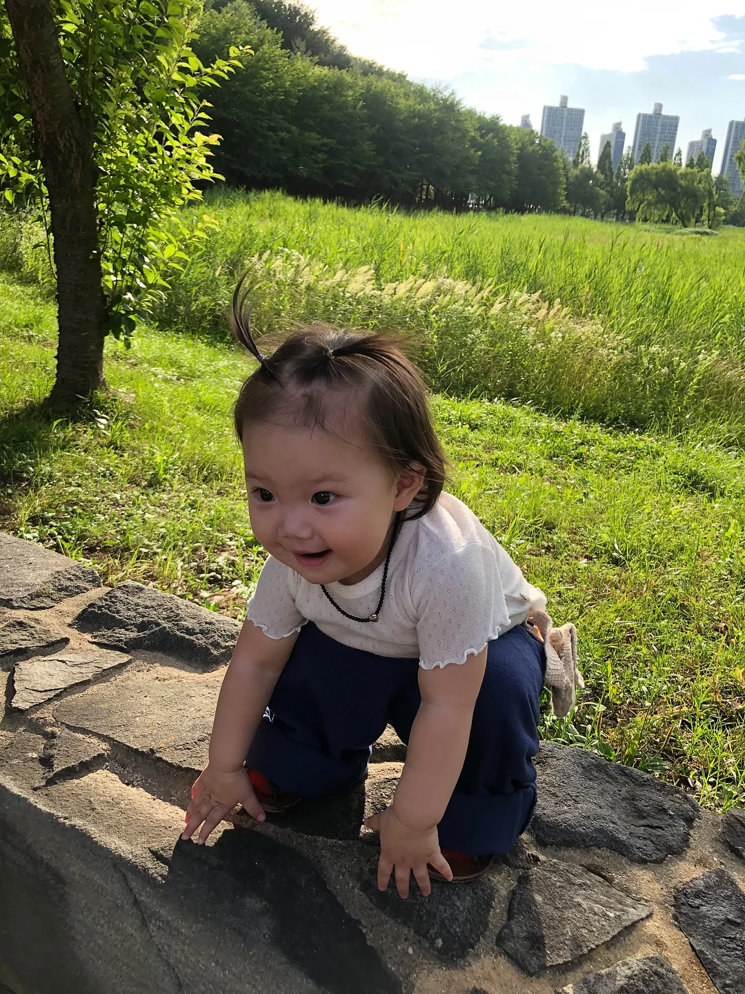 맘트밀 천연 분말육수 10