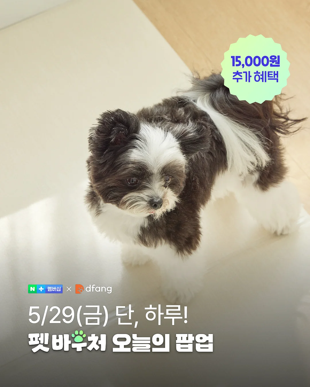 아르페쥬 프로폴리스 샴푸+트리트먼트+미니오일 세트
