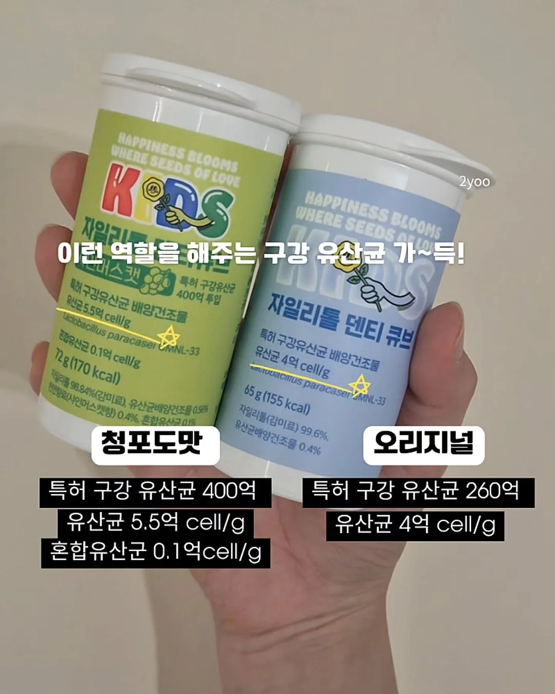 여름 버뮤다 팬츠 3
