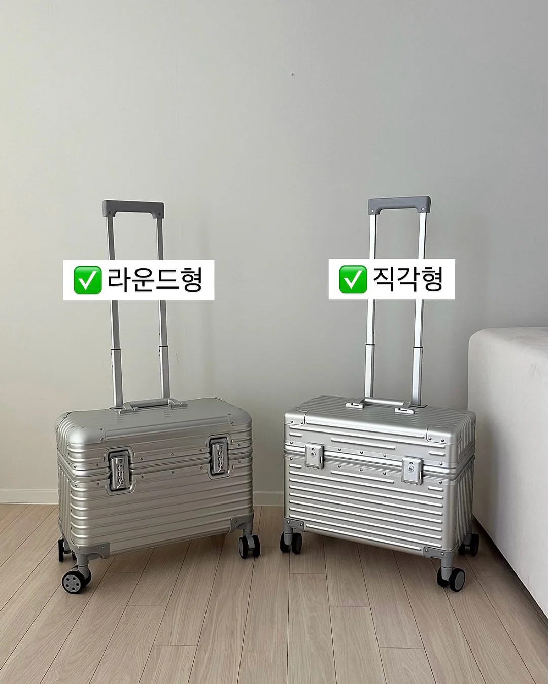 서주 포도젤로바 11