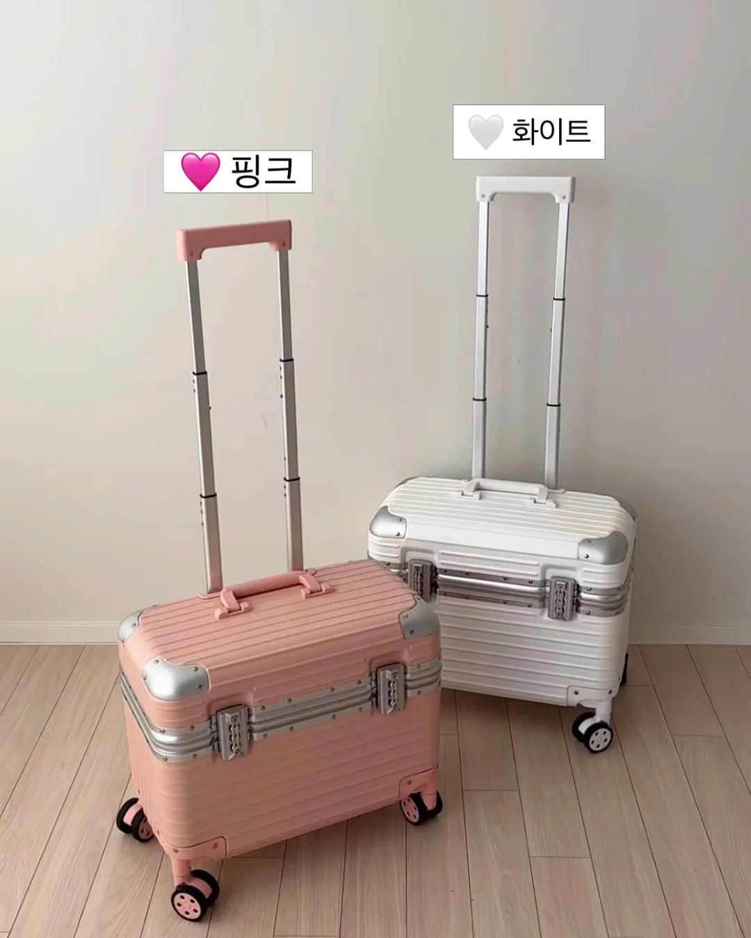 서주 포도젤로바 12