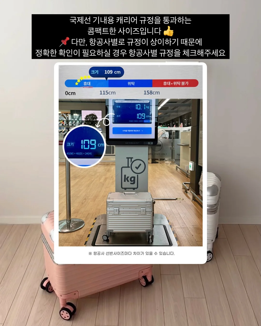 서주 포도젤로바 7