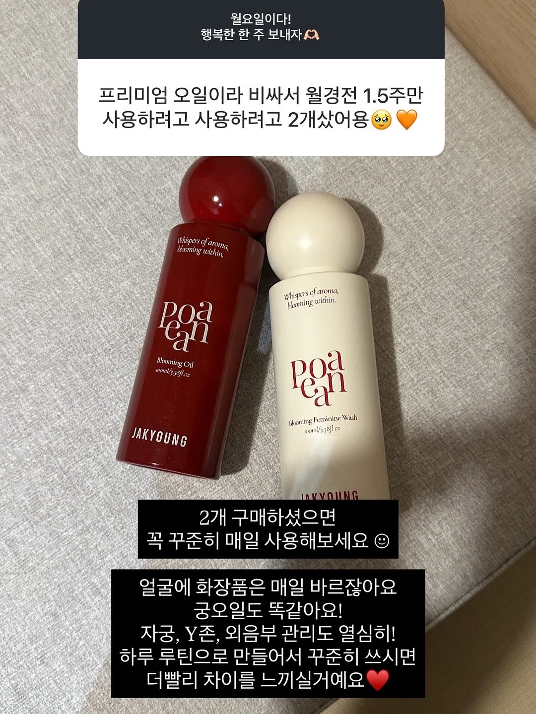 MY25 프리마베라&스프린트 5