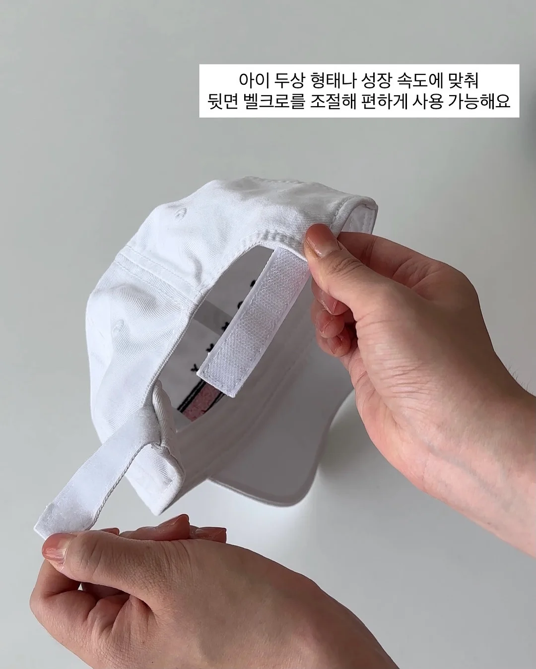 틸란드시아 불보사 15
