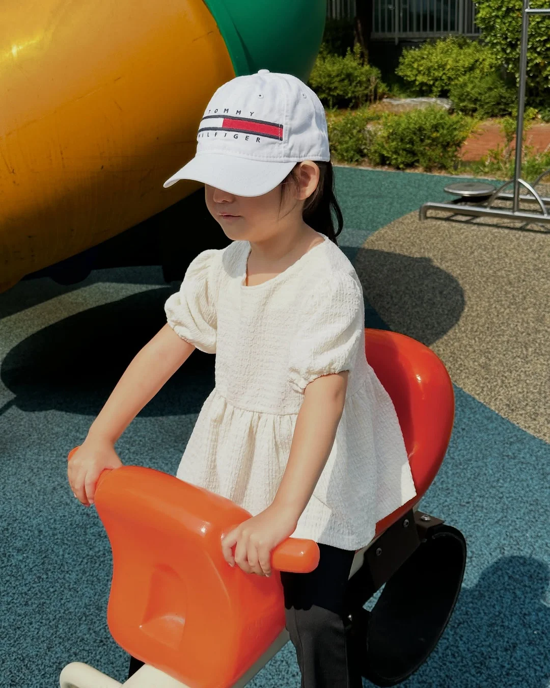 틸란드시아 불보사 3