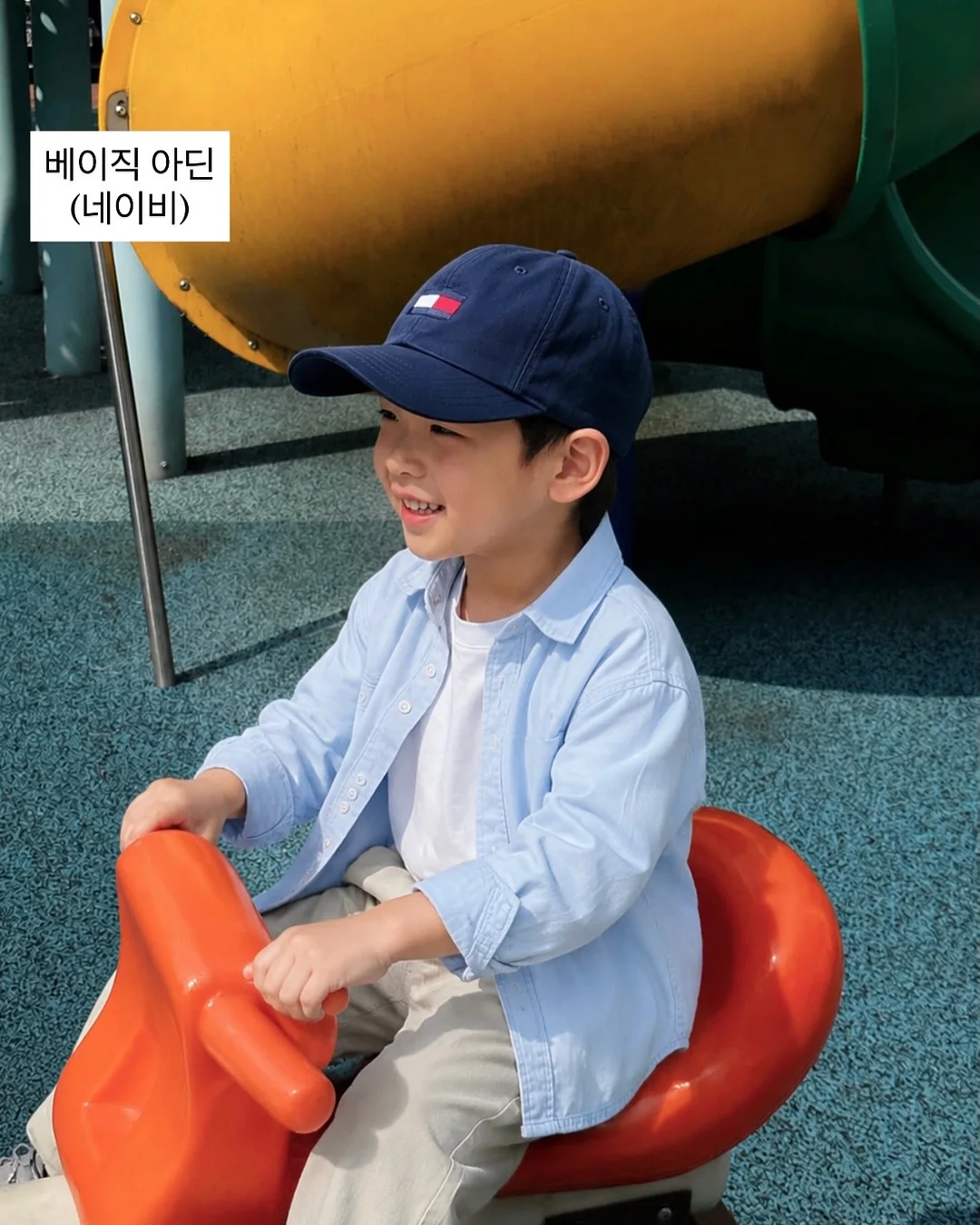 틸란드시아 불보사 6