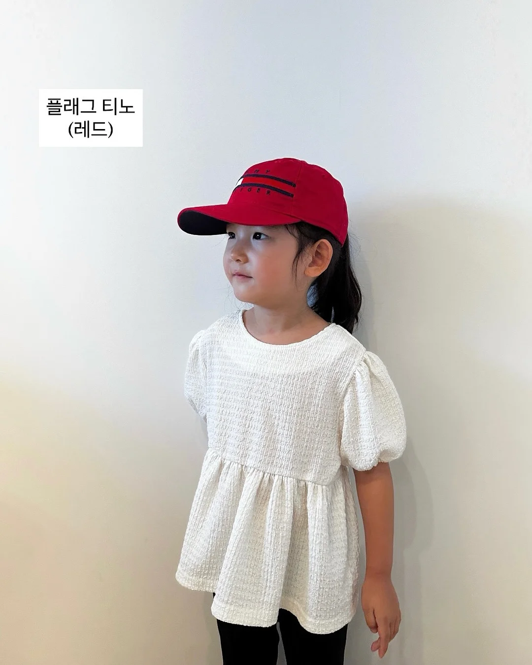 틸란드시아 불보사 10
