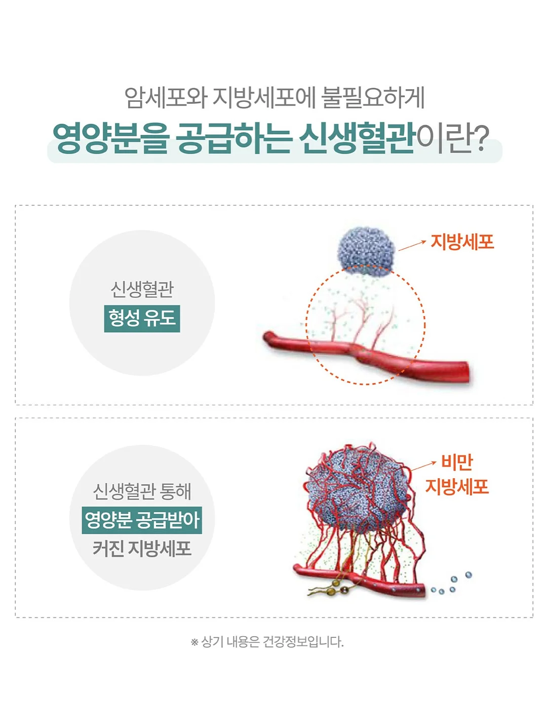 전포 레터링 컵케이크 2구 8