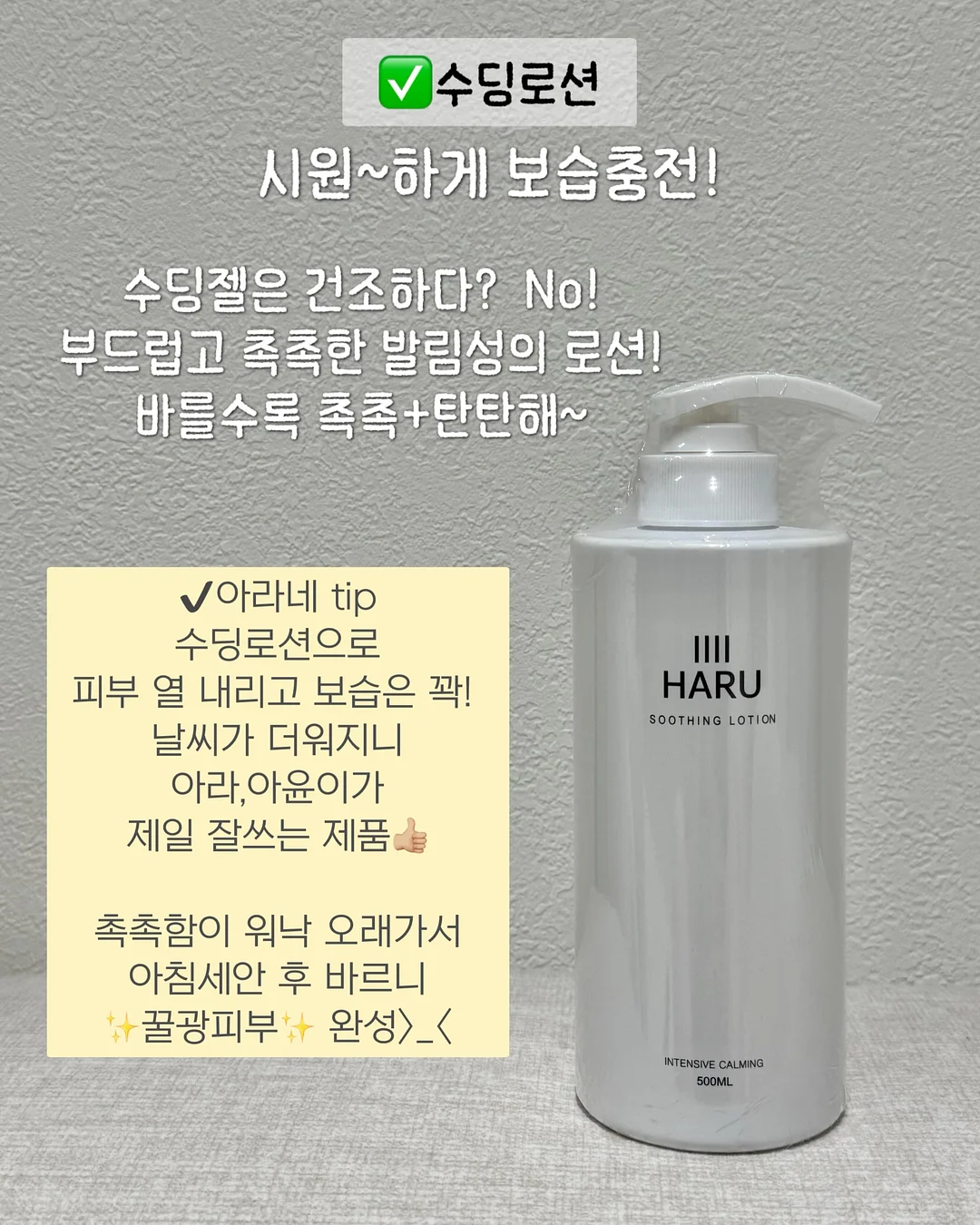 노아 셋업 6