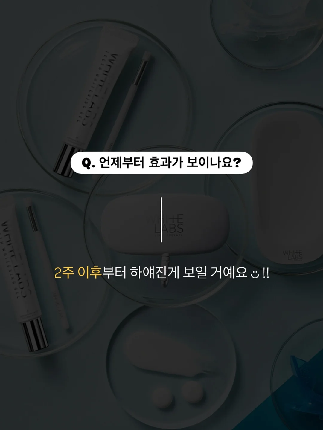 노노멀 커피 10