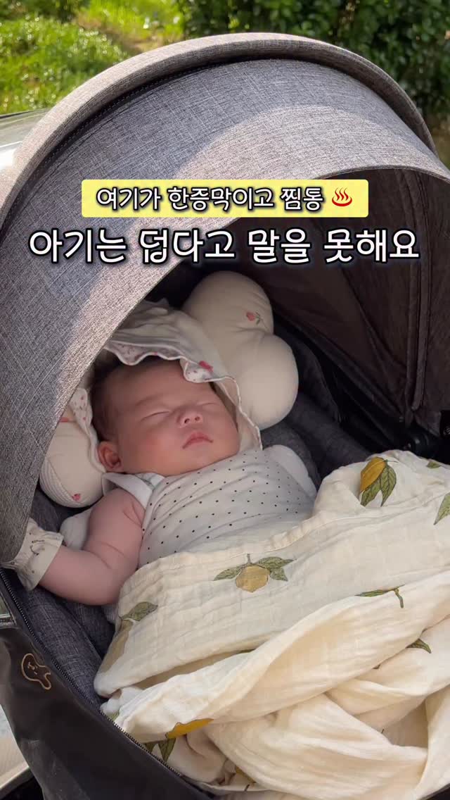 디카페인 모카 크림푸딩