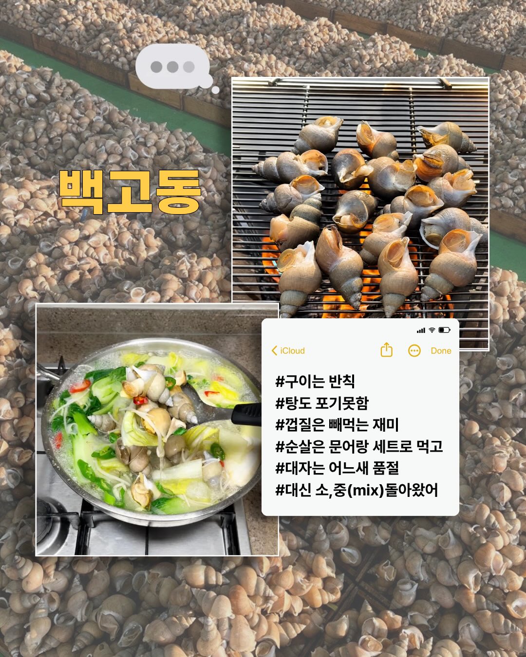 알테온 리프팅 4