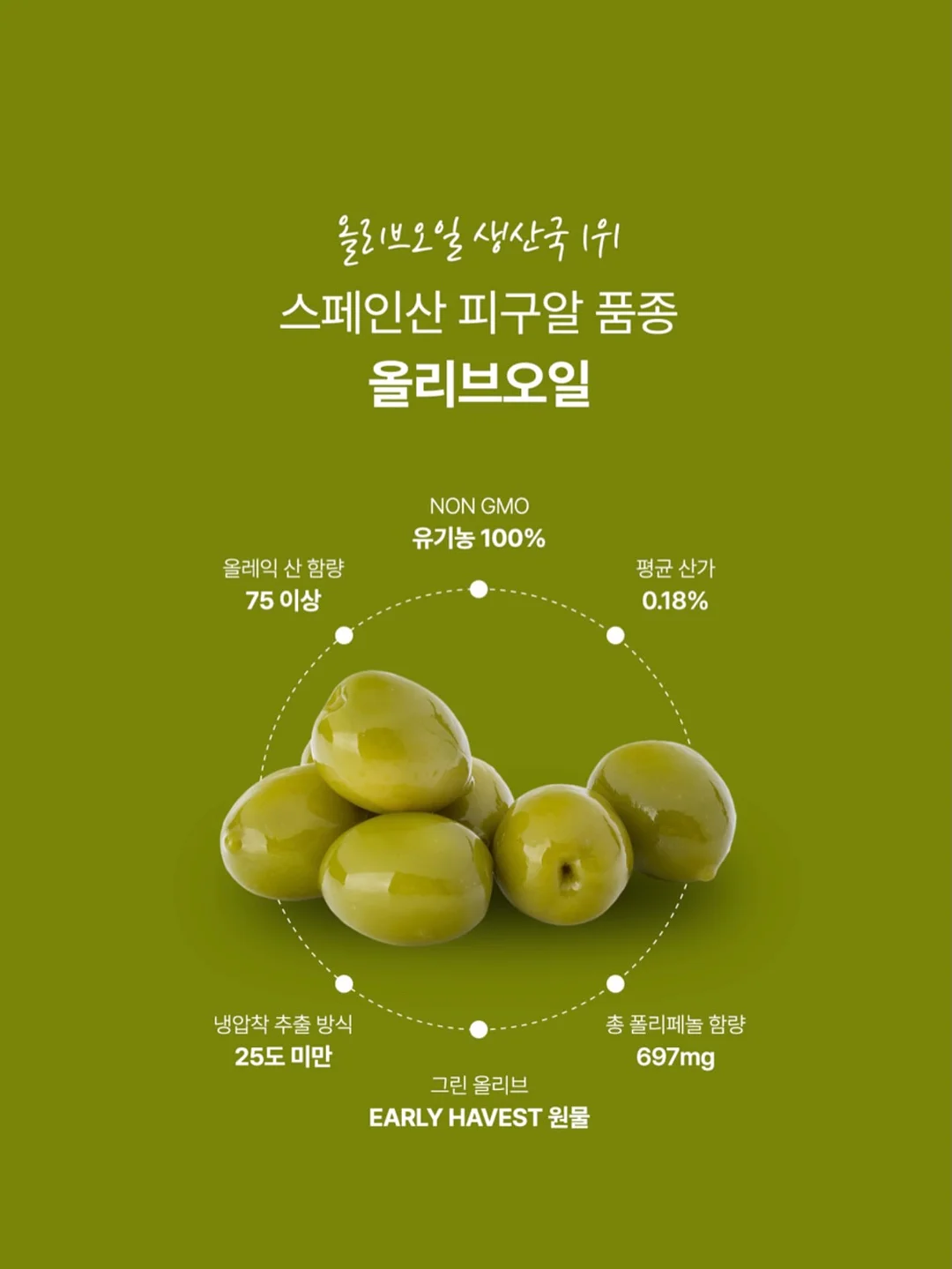 공부폰 6