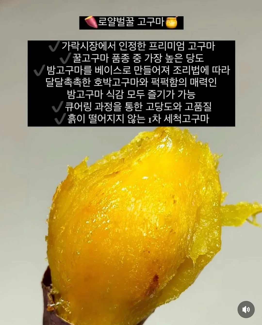 슬개골 안심 힐링 배드 3