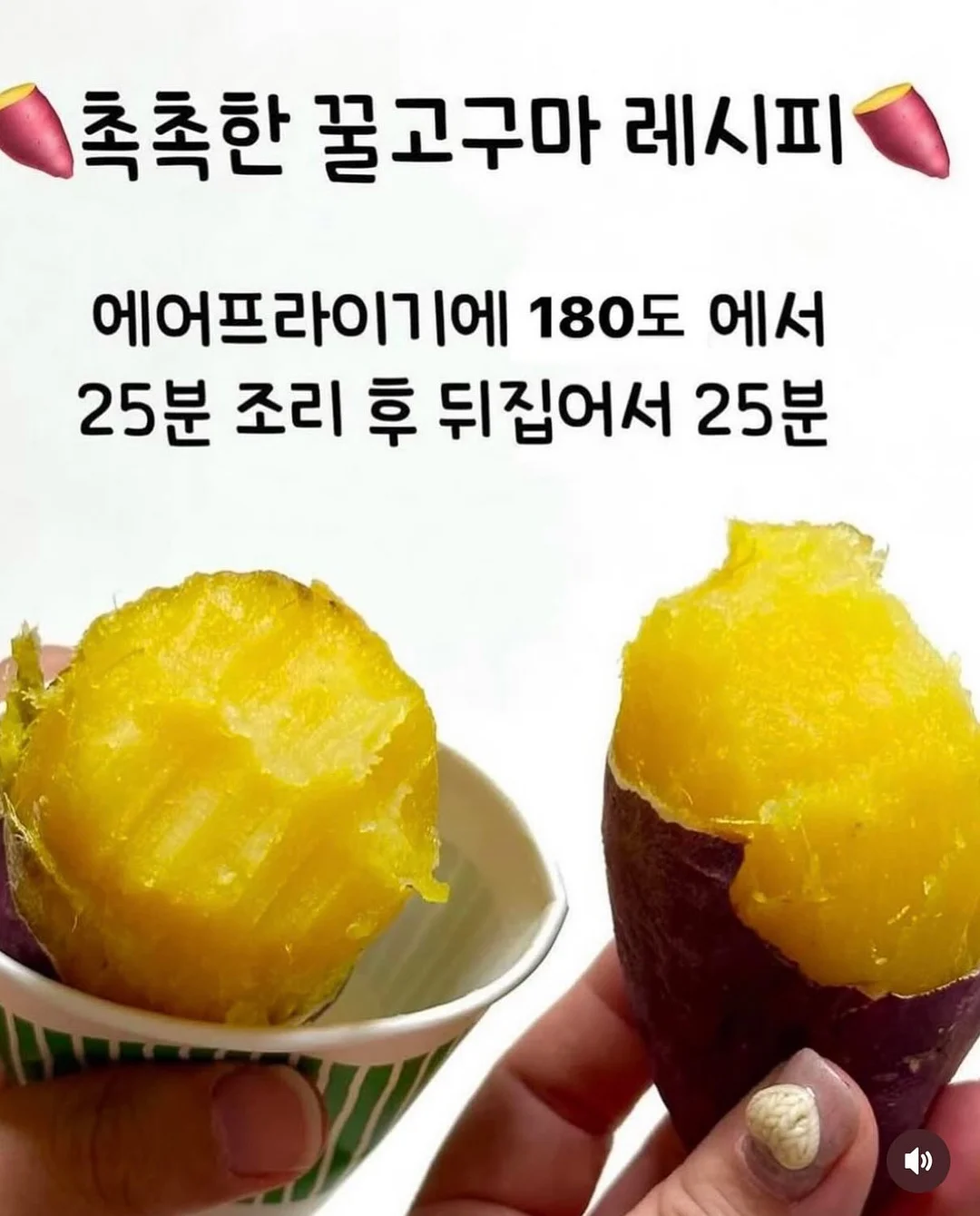 슬개골 안심 힐링 배드 5