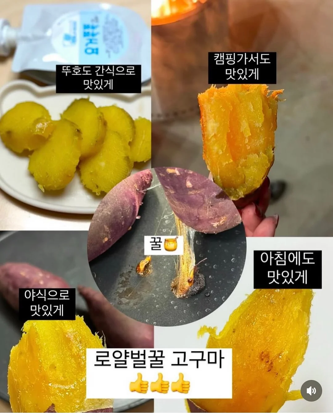 슬개골 안심 힐링 배드 8