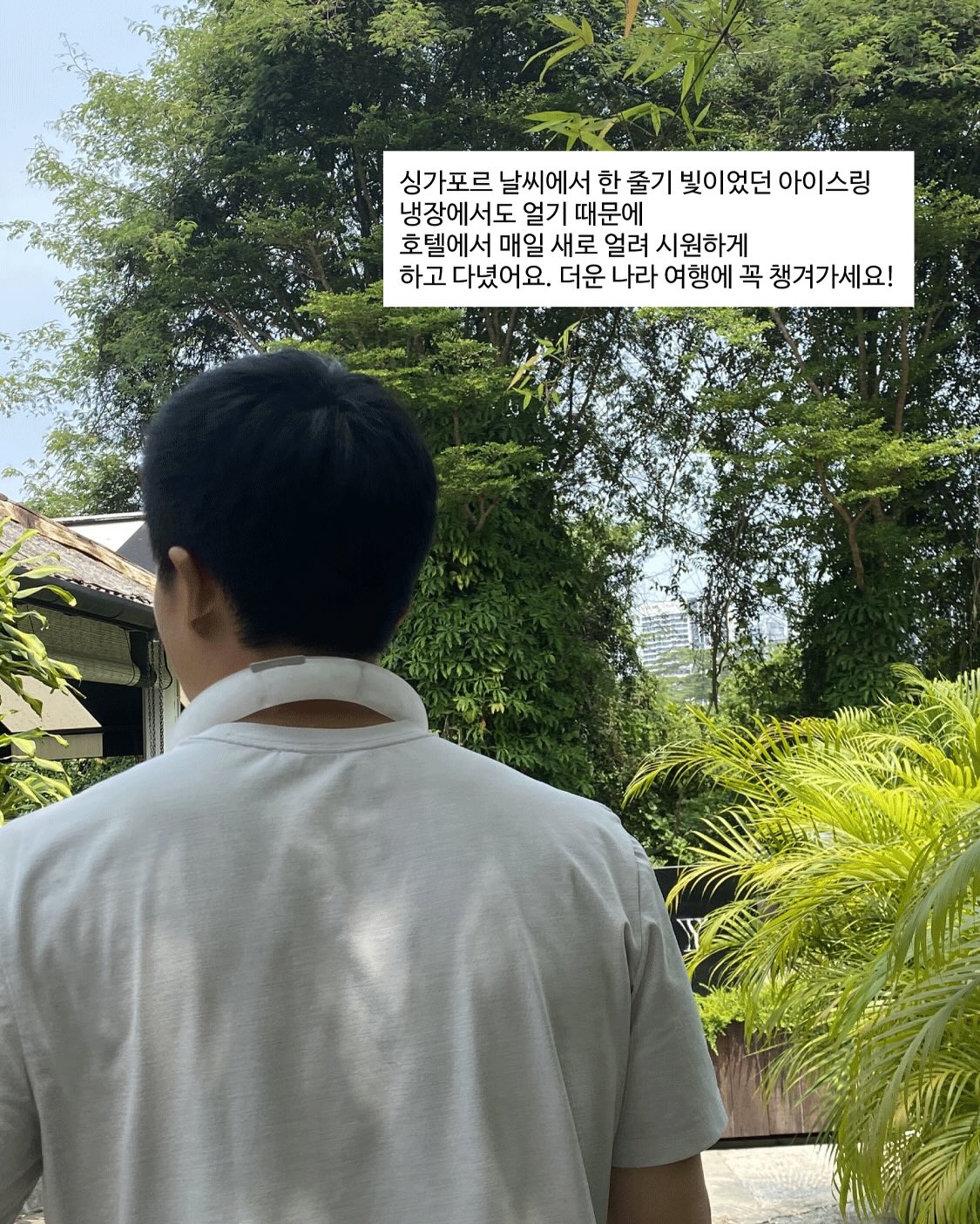 나인밀라 애플민트 쿨링 두피팩 3