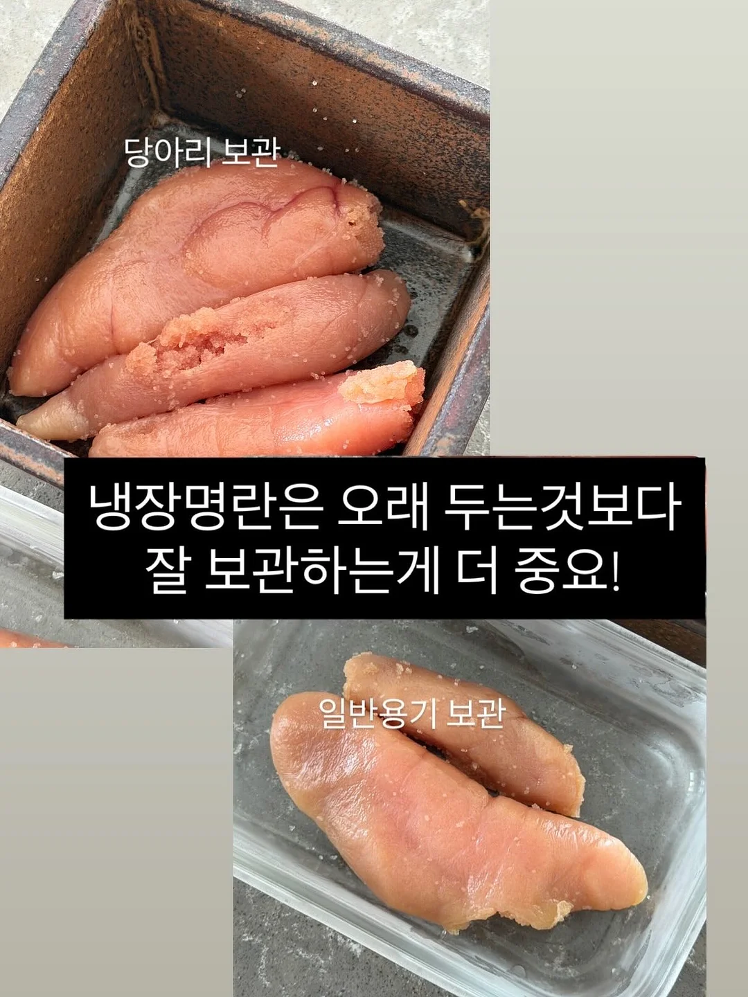 콘텐츠 파일 3