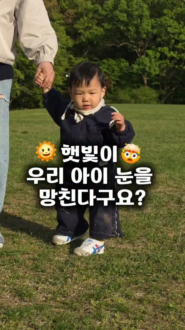 초파리 트랩