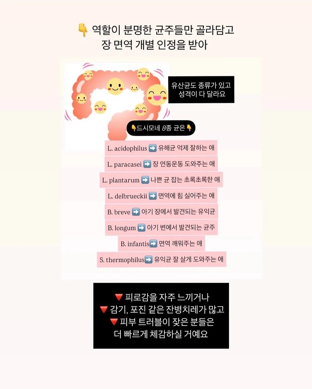 GBH 파자마 9